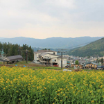 野沢温泉スキー場のゴンドラが無料で乗れる